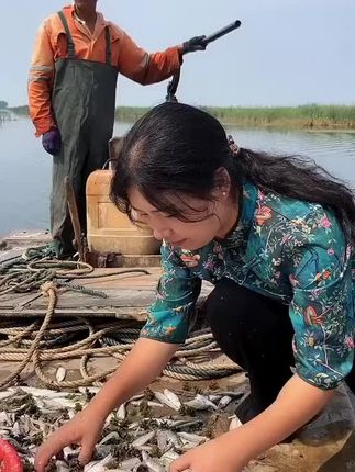 毛刀鱼下锅油炸,下酒好菜!今天上架,直接下单 #东平湖毛刀鱼