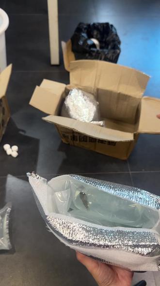 又买一批小河豚#河豚河豚小河豚 #金娃娃河豚