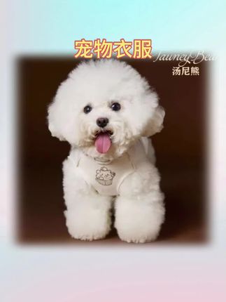 天气凉了,给豆豆淘了一件好看的小背心,这也太可爱了吧!它是双面可穿的,面料柔软舒适,后背还有牵引扣,出门溜溜也方便。无袖设计,狗狗没有束缚感,穿上好看又保暖,还可以遮毛,多种颜色可以选择,猫猫狗狗都可以穿,趁价格划算,赶紧给你家宝贝安排上吧!#健康 #分享 #宠物萌宠 #好物推荐🔥 #母婴好物