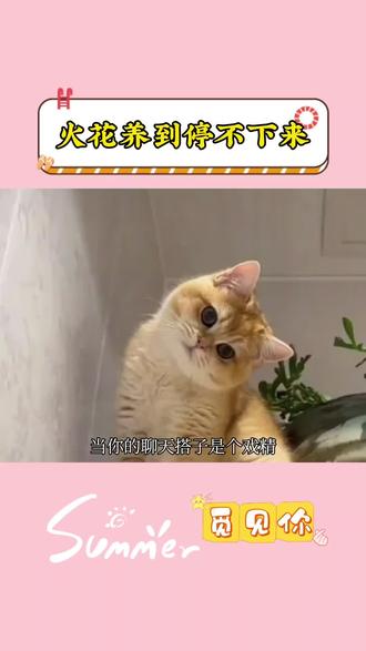 火花养到停不下来#多闪 #多闪app