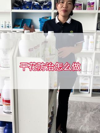 槟榔干花怎么办,打药很关键,赶快防起来!#槟榔干花 #槟榔种植 #槟榔管理