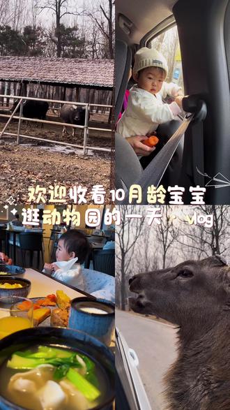 我本可以沉默,这个世界癫成什么样与我何干,但我是妈妈,尚有稚子在人间,仍希望未来,我孩子的脚下都是净土,抬头看依旧国泰民安。#正能量#真实生活分享计划 #小圆头#洛#熙@DOU+上热门 @DOU+小助手