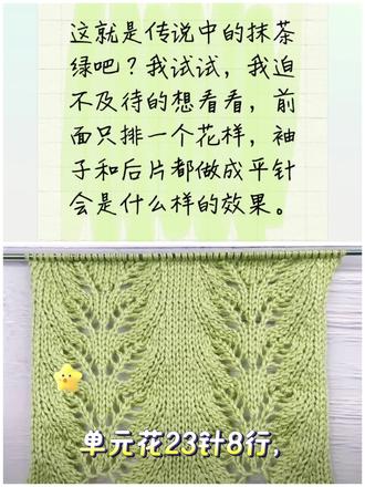 镂空花样图解编织教程
单元花23针8行,中心针设在第1和2针之间或11针,这就是传说中的抹茶绿吧?我迫不及待的想看看,前面只排一个花样,袖子和后片都做成平针会是什么样的效果。#玩毛线#图解分享#编织教程#手工