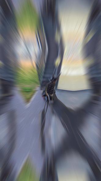 大白鲨小技巧#清远雅迪