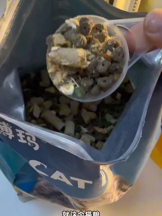 品质嘎嘎好的平价猫粮#新手养猫 #猫粮推荐 #科学养宠攻略 #超便宜超划算 #干饭最积极的小猫