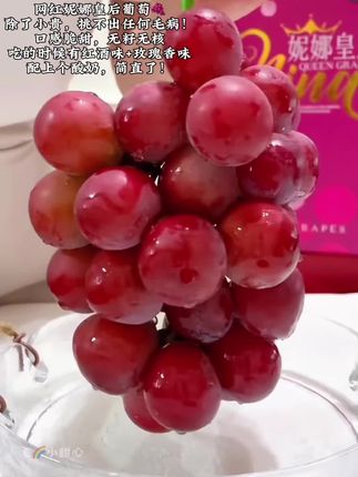 葡萄🍇中的爱马仕,妮娜皇后葡萄,除了小贵哦,挑不出毛病!口感脆甜,无籽无核#妮娜皇后 #葡萄 #应季水果 #强烈推荐