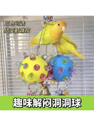 马上又把呱呱玩急眼了,🤭🤭#鹦鹉玩具#磨牙解闷