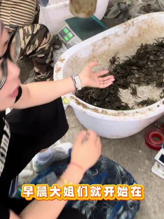 看看我们的认真劲#正宗盘锦稻田蟹