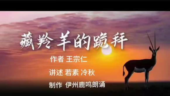 电视剧《生命树》给了我们深刻的启迪,保护藏羚羊,保护生态环境,使我们每一个人都要应尽的义务。叙事散文《藏羚羊的跪拜》希望能够给你带来启迪,让我们行动起来,关爱地球上的每一个精灵。
