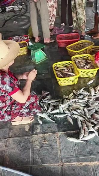 越南小渔船刚上岸鱼就被分的差不多了。