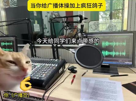 七彩阳光于疯狂鸽子#猫meme#音乐分享#七彩阳光#疯狂鸽子