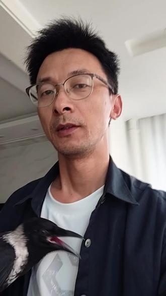 中阶叫远训练 最近收到很多消息,很多鸟友的鸟在进行户外放飞的时候,漂了...
分析原因,无非几个点:
一、基础叫远训练不够扎实全面;
二、放飞地点没选择好。初期放飞地点一定要选择空旷无人、建筑植物少的地方,多进行几次,等它适应了户外,有一定脱敏性训练经验,再融入到我们周围的户外环境,那就不容易漂。
三、情感建立不够。大部分人的雏鸟才喂了两个月,鸟已经能飞,确实在能叫远上手,但这种情感的建立是不够扎实的(包括我的)!起码得6个月以上(第一次换羽完成),才会有较好的关系。
最后,还是要谈谈室内叫远训练,分几个级别(其实都是基本功):一、低飞高,这个很容易;二、平飞叫远,这个也不难;三、就是今天视频里展示的“高飞低”,这就需要刻意制造环境,多次训练才能让鸟明白:“主人在低处,飞下去也是安全的”。
好了,今天就先分享这些。其实驯养鸟有很多细节,容我慢慢分享,供大家参考,期望能帮助到一些鸟友朋友。#雏鸟成长记 #鸟#宠物