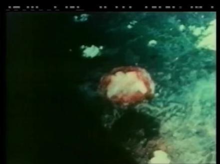 核武言论引发恐慌 白宫火速澄清