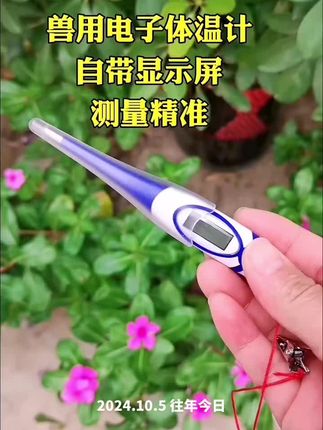 兽用电子体温计 #养猪 #养殖 #畜禽养殖 #牛羊养殖 #电子体温计 兽用电子体温计