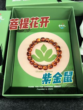 #文玩手串 #文玩 #手串 #盘串 #紫金鼠