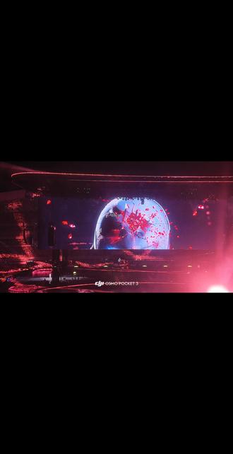 就满地什么……满地粉钻-《粉钻》#薛之谦 #万兽之王 #粉钻