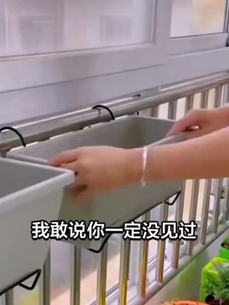 阳台种菜种花盆#绿色蔬菜 #家庭种植 #在家种菜