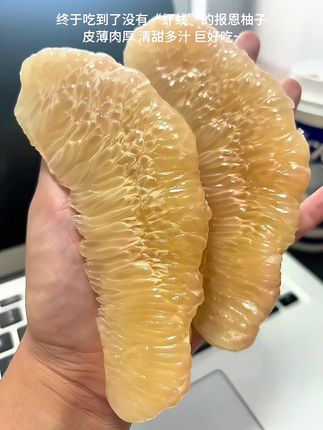 百年老树蜜柚原汁原味,好吃到停不下来!