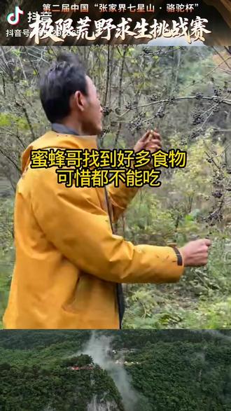 #老六荒野 #荒野求生 #大自然的馈赠 #总决赛 #湖南
蜜蜂哥分析不能吃的果子
