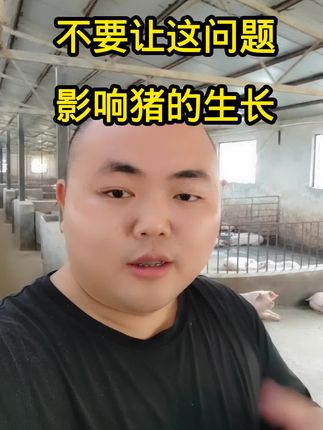 #养猪人 #猪咳 #农村养猪 #猪价