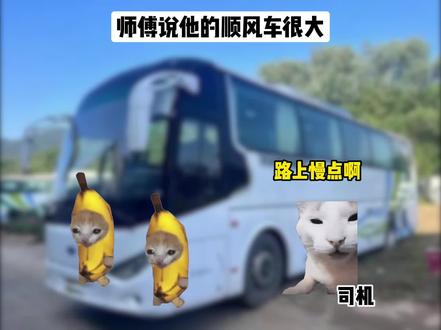 打车打到大巴车是什么概念 #猫meme小剧场 #猫meme #顺风车趣事 #真实还原 #搞笑