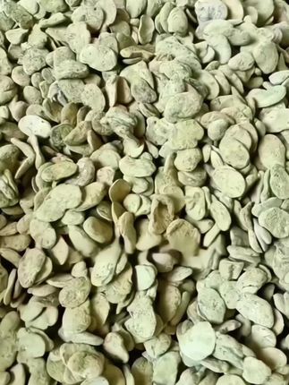 霉豆瓣霉豆子豌豆瓣子霉胡豆瓣做湖北豆瓣酱酱油原料#农产品 #霉豆瓣 #霉豆子 #豌豆班 #胡豆瓣 @DOU+小助手