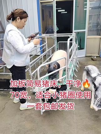 #养猪场#产床