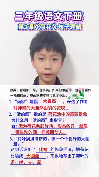 #三年级 三年级语文下册《荷花》句子理解#每天学习一点点
