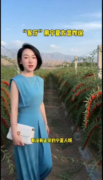 这个到底是啥?#方言 #宁夏方言版#记录真实生活 #同城 #宁夏