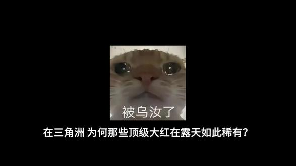 要不要跟我来一把绝密监狱?#三角洲 #寻宝鼠 #科技鼠