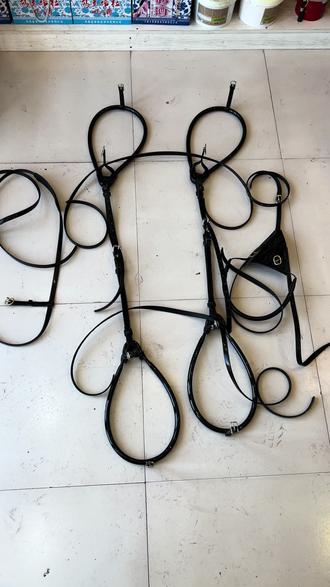 #走马 #骑马 #八字环 马具辅助矫正器防止走马串步 走马八字环。