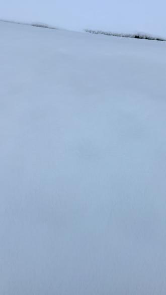 搓一搓小手,一点都不冷#派大星#车窗画#初雪