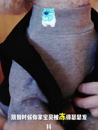 哇塞!这款衣服好好看呀 #萌宠好物 #狗狗 #宠物用品 #狗狗衣服 #宠物