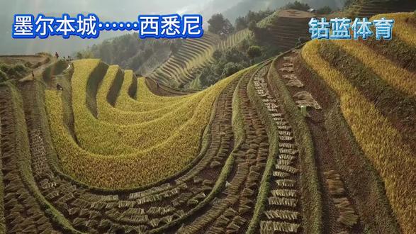 墨尔本城……西悉尼