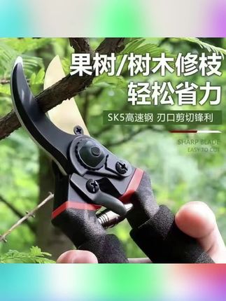 SK5钢强力园艺剪子家用省力修剪果树原装粗枝药材枝条剪多功能#园艺剪 #园艺剪刀 #园艺剪刀推荐 #园艺剪刀修枝剪 #剪刀