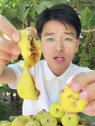 【产地直发顺丰空运】新疆阿图什糖包子老树采摘无花果鲜果#新疆无花果#软糯香甜#营养丰富