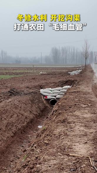 冬修水利,开挖沟渠,打通农田“毛细血管”。(记者 曾莹莹)#冬修水利#亳州