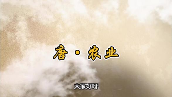 推行均田制,兴修水利(如《水部式》法规),江淮成为粮仓;曲辕犁普及提升耕作效率。#每天跟我涨知识 #中华文化知识讲解 #唐朝 #历史 #突然想起20年前追逐梦想的自己