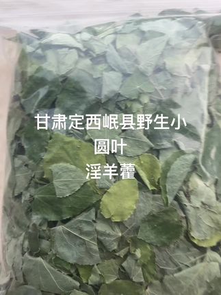 #原创视频 #农业种植 #乡村的生活 #大自然的搬运工 甘肃野生淫羊藿