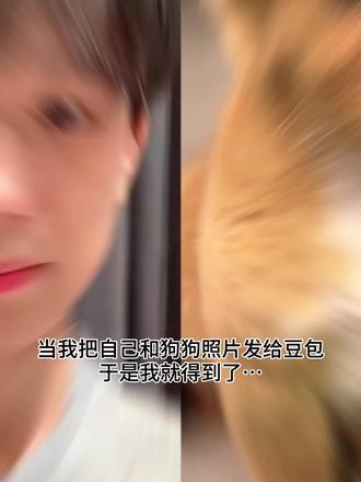 好有爱好喜欢,与猫咪相拥合照ai指令 教程来啦!#豆包p图指令宠物合照指令 ai生成自己和宠物的合照#和宠物合#豆包ai