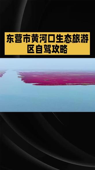 5A景区东营市黄河口生态旅游区自驾游攻略,包含本地人私藏的本地自驾玩法和避坑指南,哪些门票必买和那些门票是免费的,宝子们来自驾游吧。#5A景区自驾 #东营旅游 #黄河口生态旅游区 #元旦假期出行地推荐 #旅行推荐官