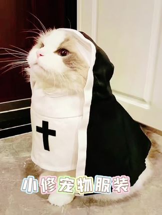 宠物万圣节变装修女服cos搞怪拍照衣服狗狗猫咪夏季薄款中小型犬#毛孩子的日常 #萌宠出道计划 #我的猫咪 #铲屎官的乐趣 #家有萌宠