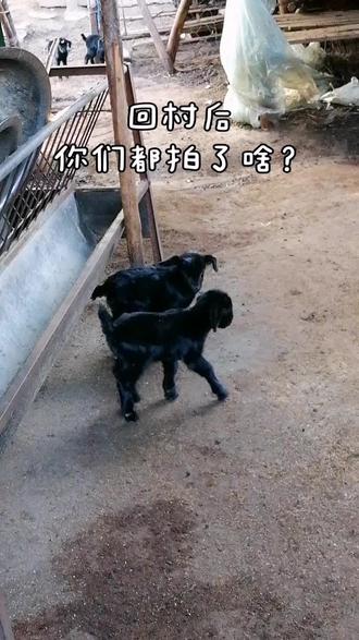 发一张你们回村后拍的照片#上热门🔥 #回村的生活 #农村生活