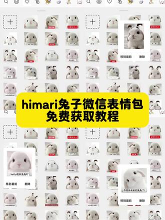 兔兔表情包,himari兔子表情包微信版保存教程,himari兔子表情包,你背着我有别的兔兔啦?我只有你一个兔兔呀,兔兔歪头表情包,兔兔表情包微信怎么搜#兔兔表情包 #himari兔子表情包 #himari#himari兔子头像#剪映
