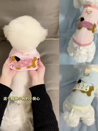 狗狗衣服春夏新款可爱彩色腊肠狗背心带牵引扣泰迪比熊小型犬#爆款热卖中 #宠物衣服 #狗狗衣服