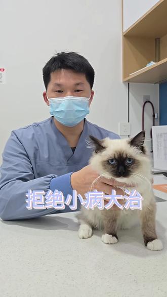 #宠物#宠物医院 #宠物医院的那些事