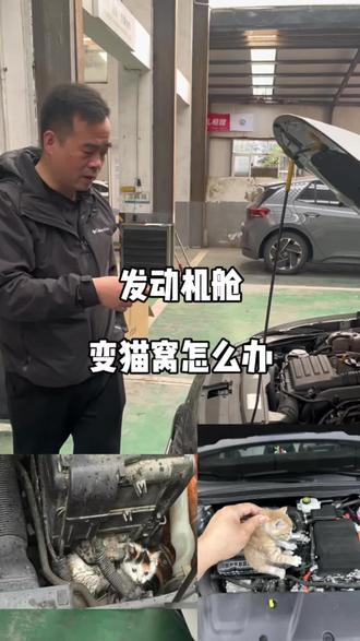 发动机舱变猫窝怎么办#上汽大众品质售后#Wecare服务#用车小常识