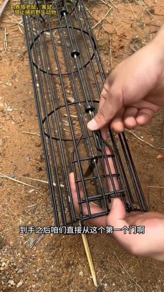 圆形户外竹鼠养殖笼 #捕害鼠神器 #捕鼠笼神器#好物推荐🔥 #养殖竹鼠笼子 #户外竹鼠笼神器大全养殖 加粗铁圆形笼养殖用野外养殖竹地鼠笼子