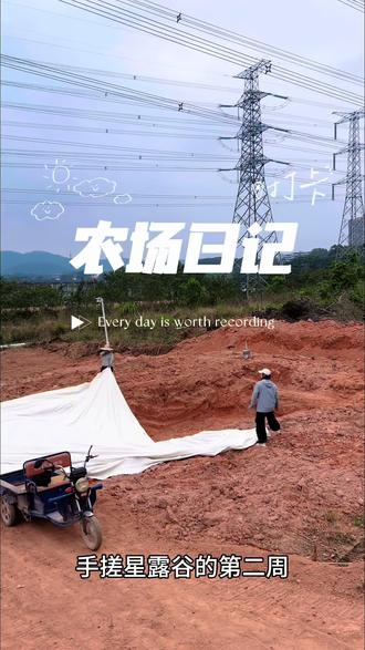 城市里有自己的一块地,是忙碌充实且满足的#大棚搭建 #解压 #种田文 #种地吧 #城市农夫