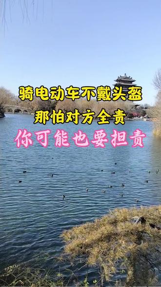 骑电动车不佩戴头盔,那怕对方全责,你可能也要担责!#济南律师#佩戴头盔 #交通事故责任认定 #安全出行#交通事故律师